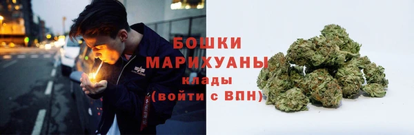 индика Приозерск
