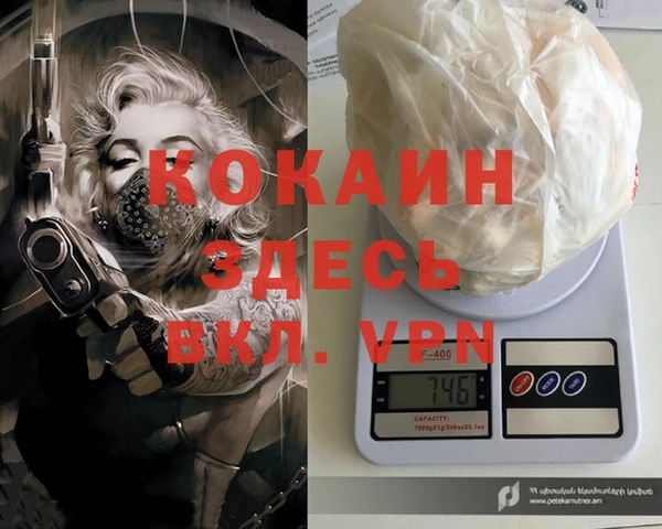 индика Приозерск