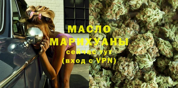индика Приозерск