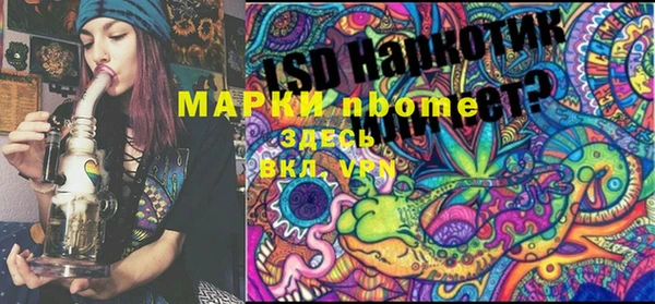 индика Приозерск