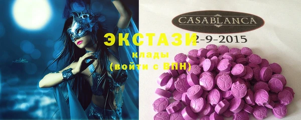 индика Приозерск